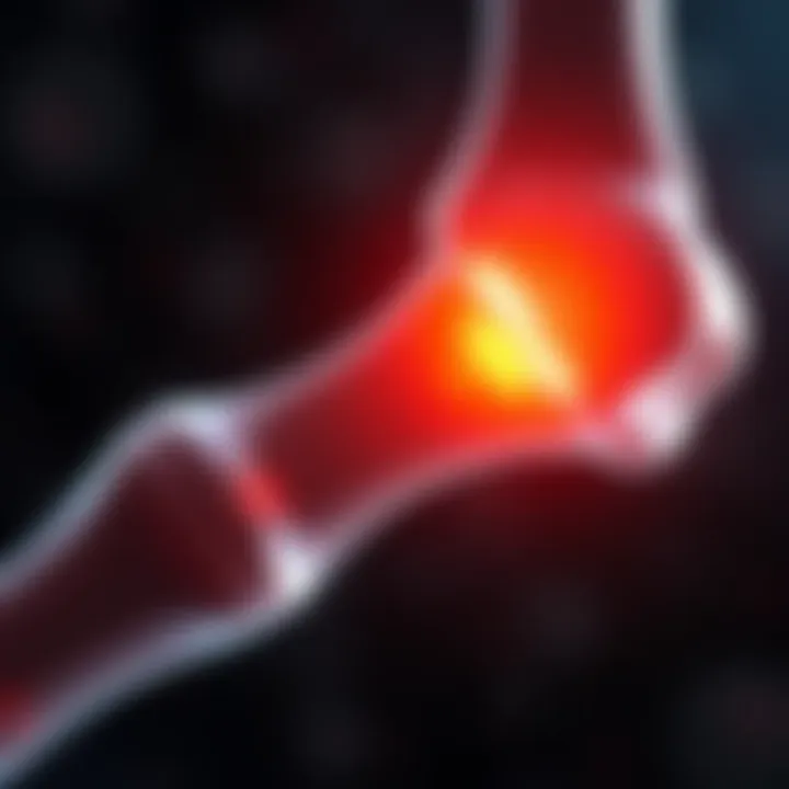 Illustration of the inflammatory phase in bone healing