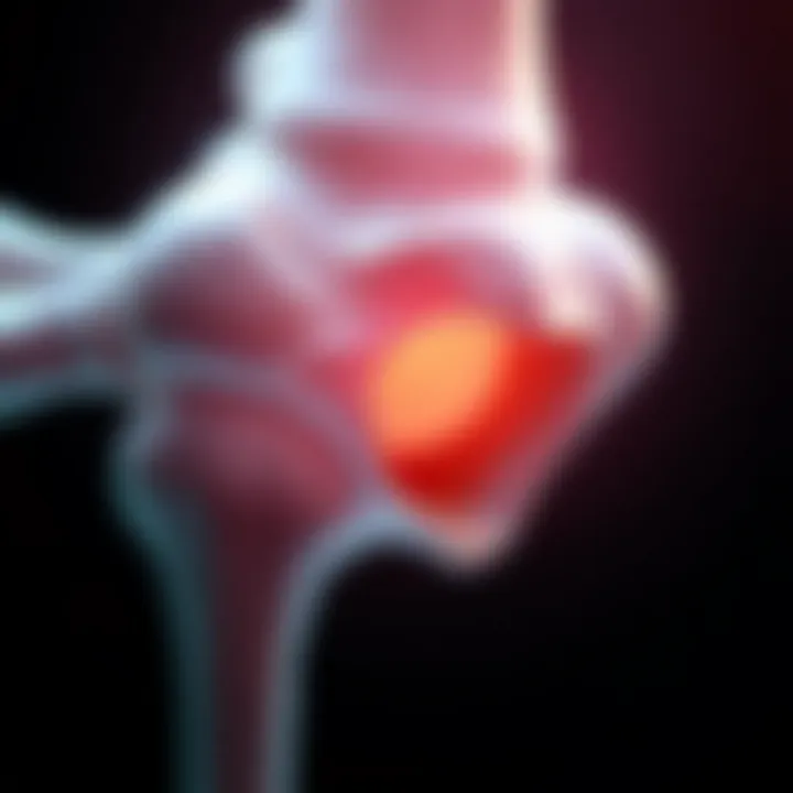 Visual representation of the remodeling phase in bone healing