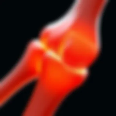 Depiction of the repair phase of bone fractures