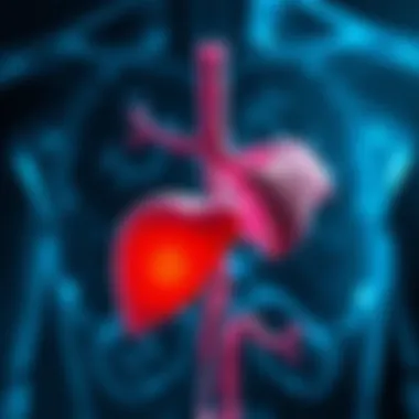 Diagram illustrating liver function and its relationship with psoriasis