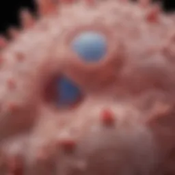 Microscopic view of skin stem cells showcasing their unique morphology