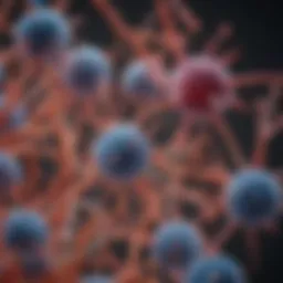Graphical representation of bispecific antibody structure