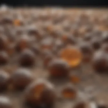 Biodegradable Materials: The Future of Packaging Innovative biodegradable alternatives to plastic products