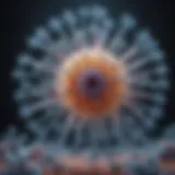 Visual representation of influenza virus structure.