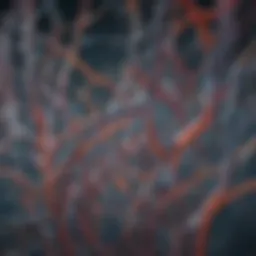 Visualization of synaptic connections in neuroscience