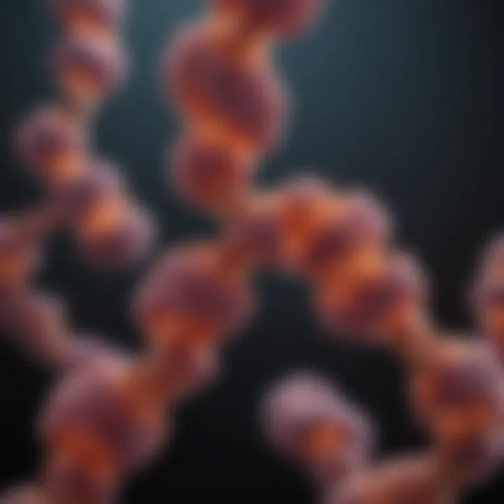 Visual representation of telomerase activity in cells