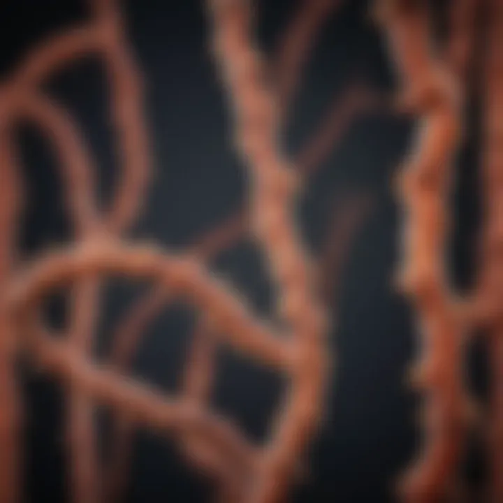 Conceptual image linking telomeres to aging and cancer