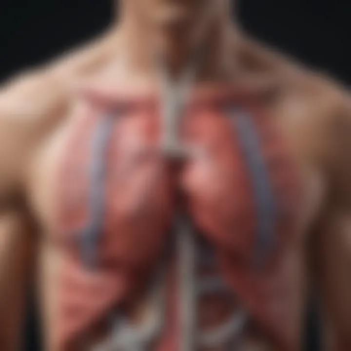 Flowchart representing the diagnostic methods for Tetralogy of Fallot.