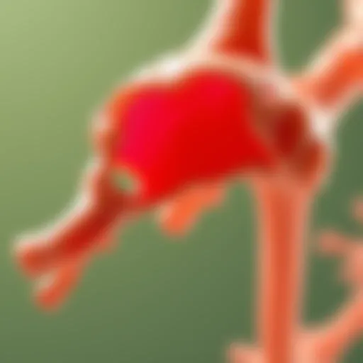 Detailed anatomical depiction of cartilage showcasing type 2 collagen fibers