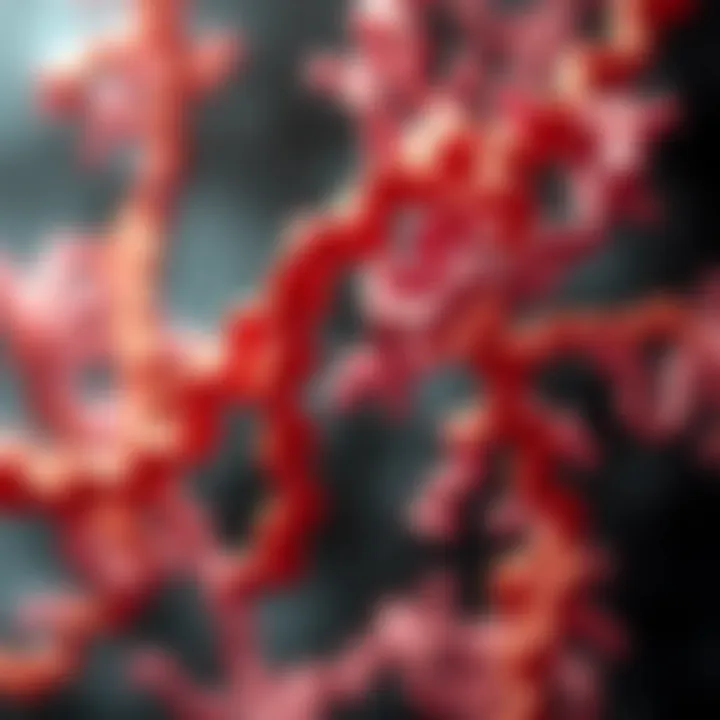 AXL signaling pathway in tumor biology