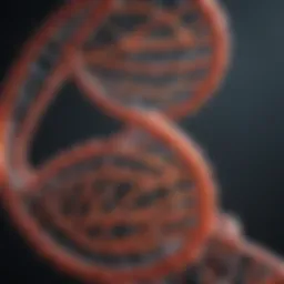 Structure of double-stranded DNA showcasing the helical formation and base pairing.