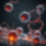 Illustration depicting molecular interaction during homogenization
