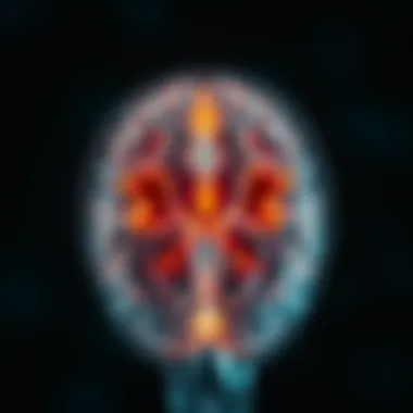 Brain scan illustrating PTSD effects