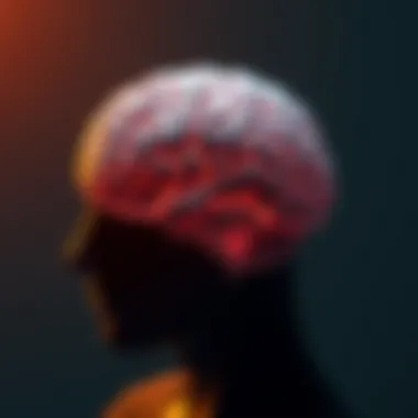 Cognitive functioning in PTSD patients