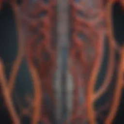 The intricate pathways linking kidney function and auditory health