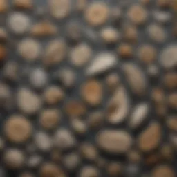Detailed representation of various bird fossils