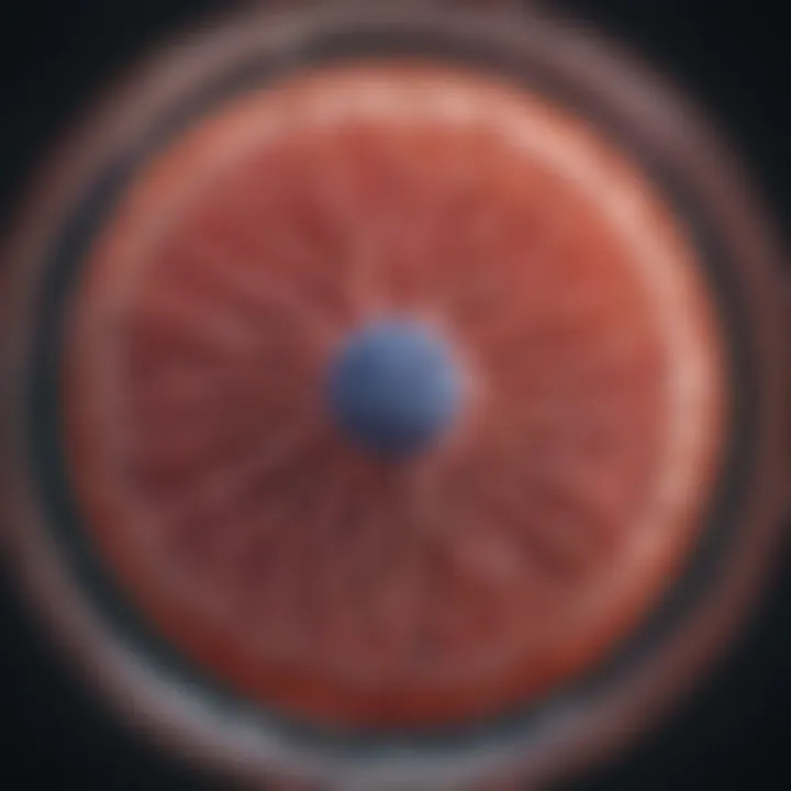 Notable The P53 Plasmid: Unraveling the Molecular Mechanisms of Tumor Suppression