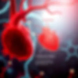 Illustration showing the biochemical pathways of vitamin B12's impact on cardiovascular health.
