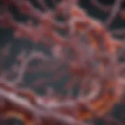 Schematic representation of ALK structure