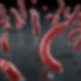 The Role of CD13 Marker in Scientific Research Introduction