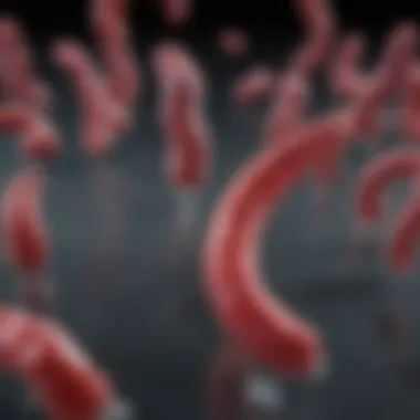 The Role of CD13 Marker in Scientific Research Introduction