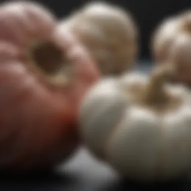 Research on Garlic and Blood Pressure A graphical representation of research studies supporting garlic's effects on blood pressure.