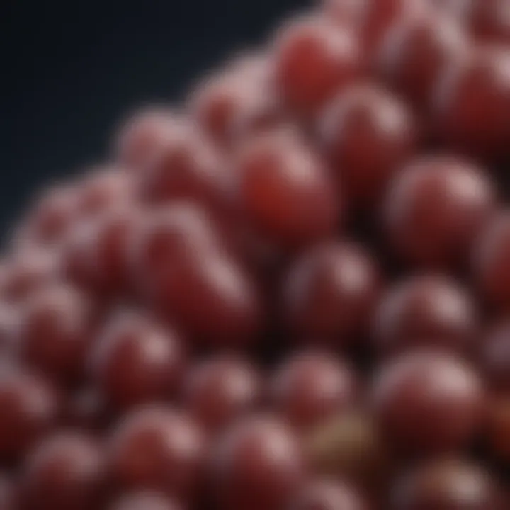 Close-up of grape seeds showcasing their properties