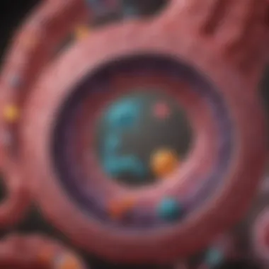 Interactions of Pancreatic Enzymes in Digestion A visual representation of the interaction between pancreatic enzymes and various digestive components within the gastrointestinal tract.