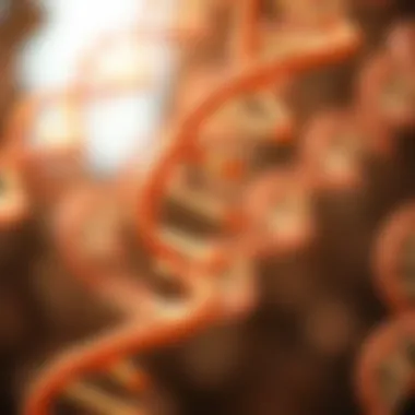 Diagram of RNA structure emphasizing uracil's role.