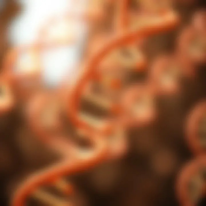 Diagram of RNA structure emphasizing uracil's role.