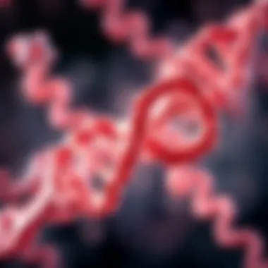 Interaction between uracil and adenine showcasing base pairing.