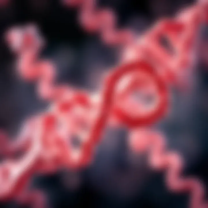 Interaction between uracil and adenine showcasing base pairing.