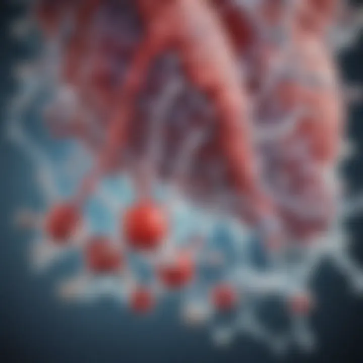 Illustration of the molecular structure of sildenafil citrate and its interaction with cardiovascular pathways