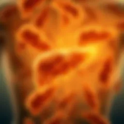 The Role of Vitamin B12 in Liver Health: An In-Depth Exploration Introduction