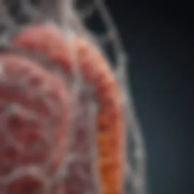 The Role of Vitamin B12 in Supporting the Nervous System Summary The Role of Vitamin B12 in Supporting the Nervous System Summary
