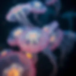 A mesmerizing display of bioluminescent sleeping jellies in their natural habitat