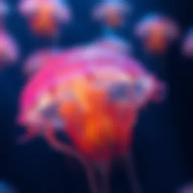 Ecological Role of Sleeping Jellies An illustration showcasing the ecological role of sleeping jellies