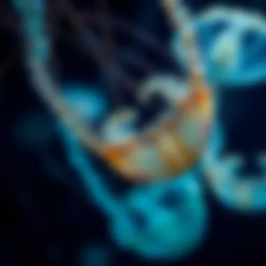 Corkscrew Motion of Sleeping Jellies Corkscrew-like motion of sleeping jellies captured in underwater photography