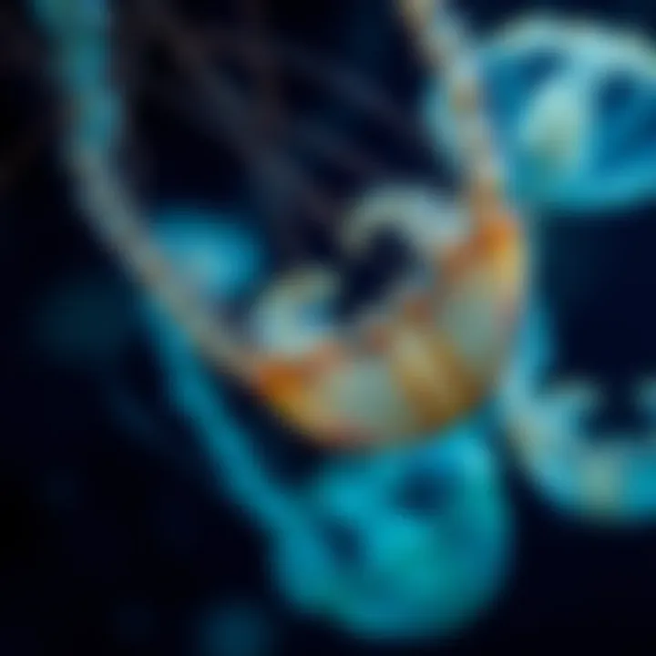 Corkscrew Motion of Sleeping Jellies Corkscrew-like motion of sleeping jellies captured in underwater photography