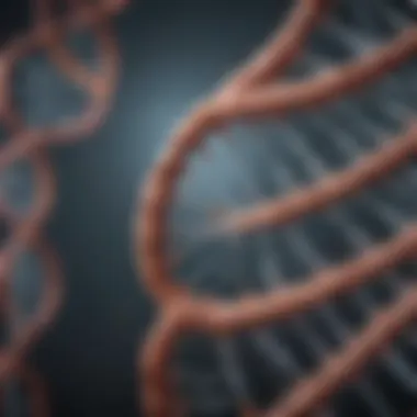 The Architecture of DNA Illustration of DNA structure
