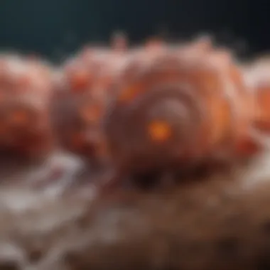 Modifications After Transcription Post-transcriptional modifications