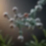 Chemical structure of triazine herbicides