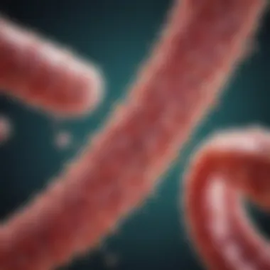 Bacteria in Urinary Tract Infections Graphic representation of bacteria associated with urinary tract infections