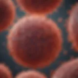 A microscopic view of leukemia cells in blood