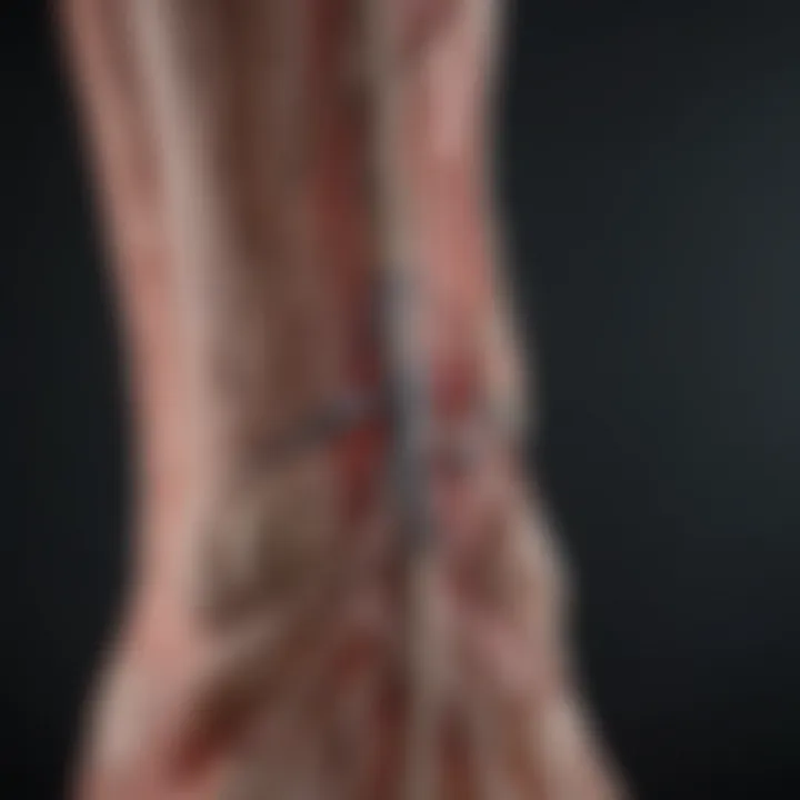 Future advancements in vascular health assessment techniques