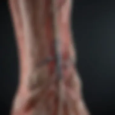 Advancements in Vascular Health Assessment Future advancements in vascular health assessment techniques