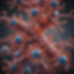 Illustration of antibody structure highlighting binding sites