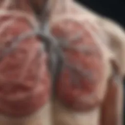 Illustration demonstrating the pathological changes in pleural tissue due to asbestos exposure