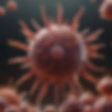 Diagram showing the impact of B cell deficiency on immune response