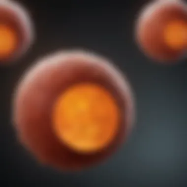 Bladder Cancer Grades and Their Importance Visual representation of bladder cancer grades and their implications